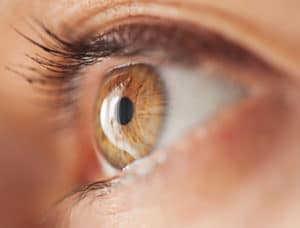 close up of a green eye and surrounding eye area